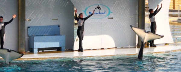 Soigneur animalier